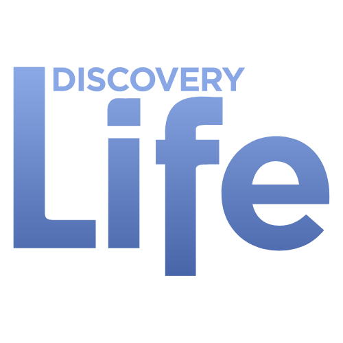 Discovery Life Logo White Background